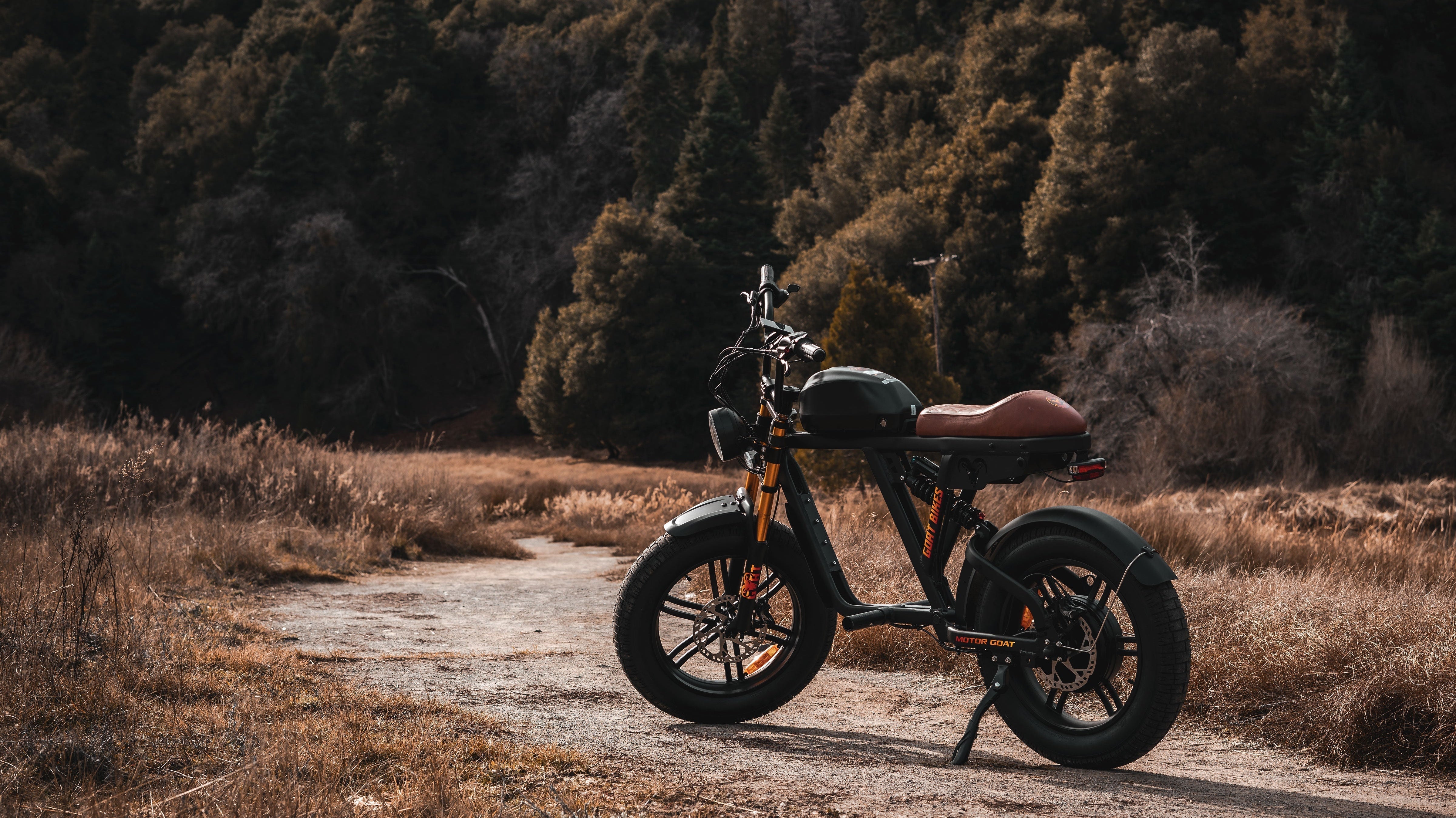 Are E-Bikes Good for the Environment? The Benefits Explained
