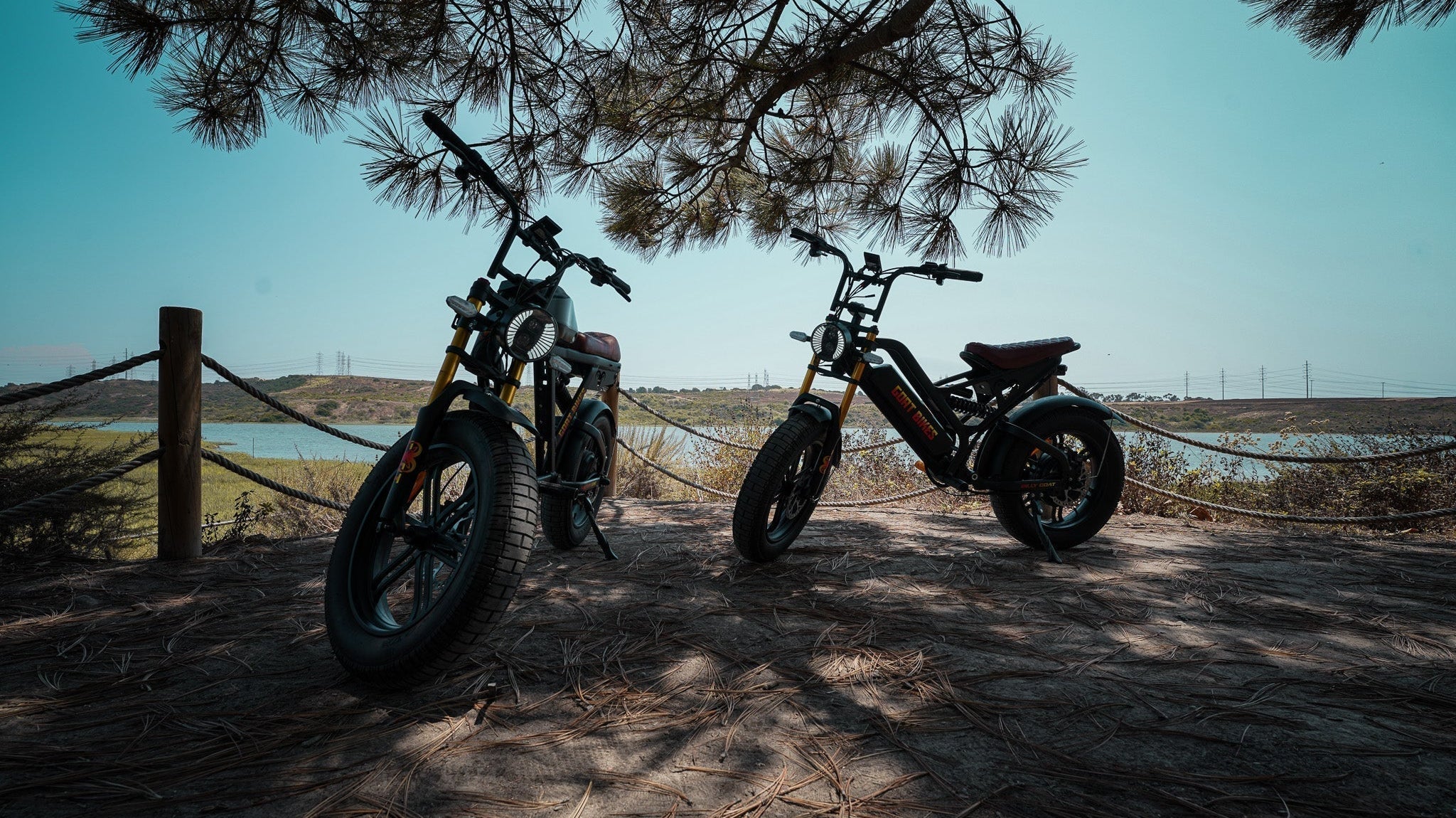 Electric Bike Laws in the U.S. Explained by State