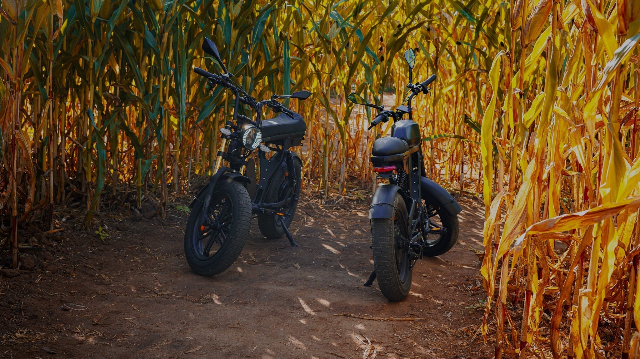 Used vs. New E-Bikes Which Should You Buy in 2025
