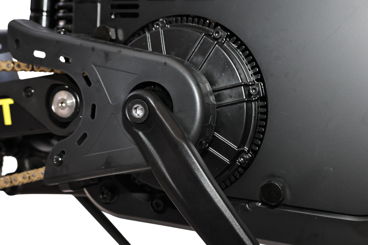 King Goat electric bike by Goat Power Bikes
