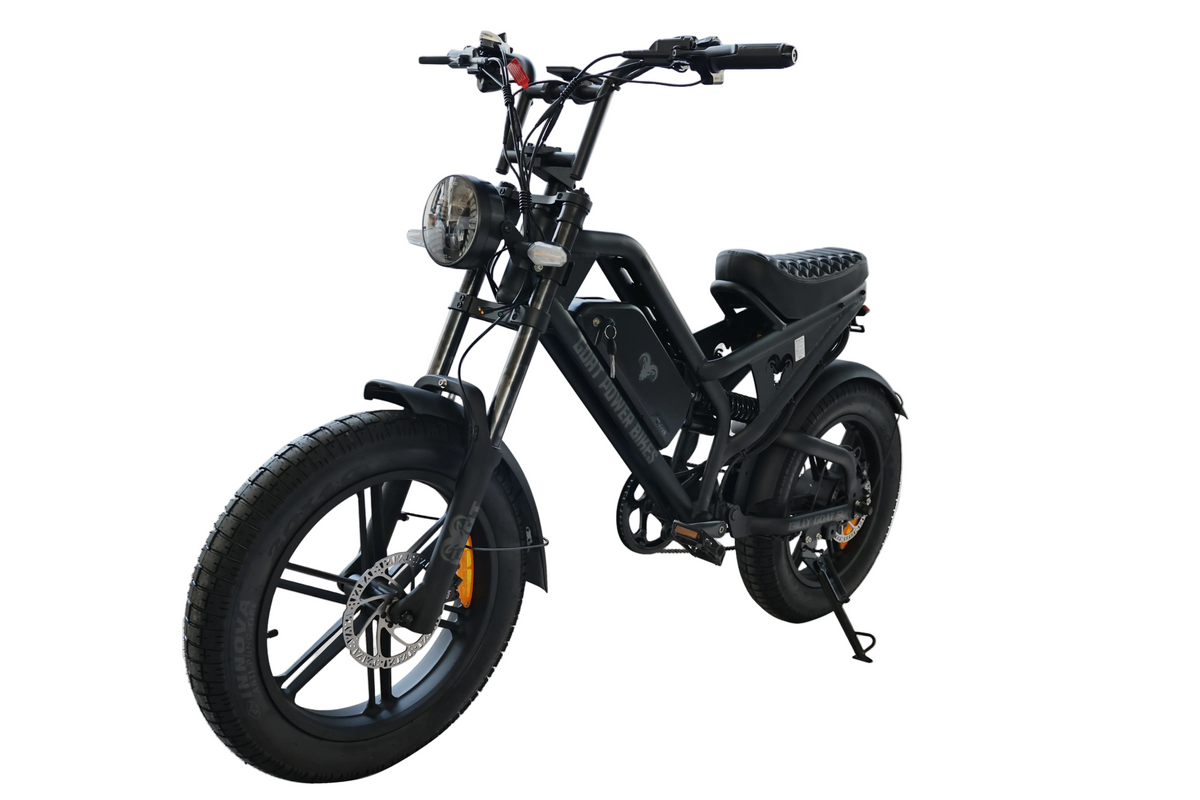 Billy Goat e bike by Goat Power Bikes