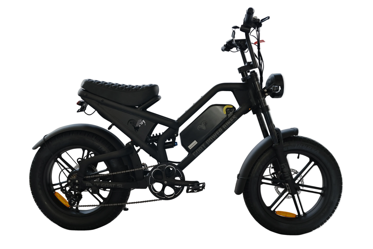 Billy Goat e bike by Goat Power Bikes