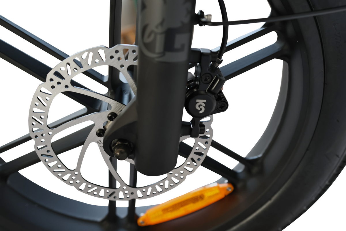 Billy Goat e bike by Goat Power Bikes