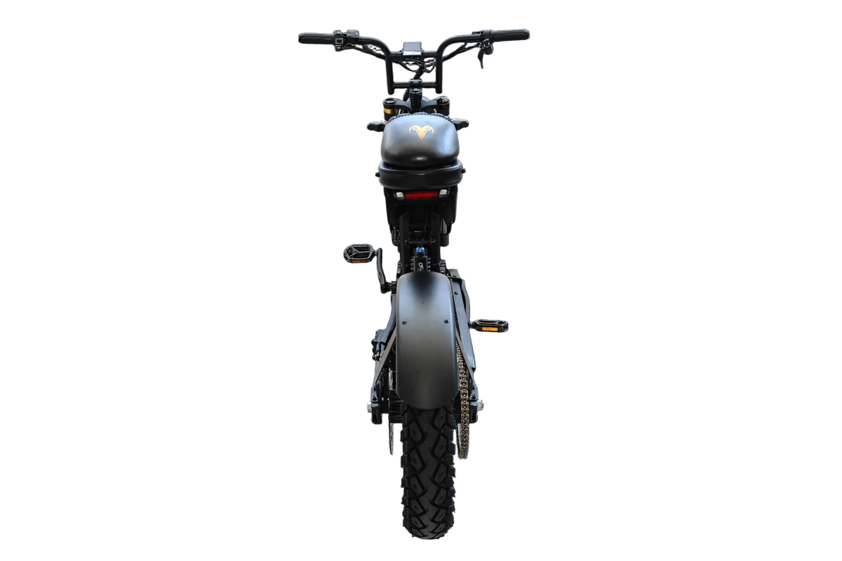 goat power bikes King Goat e bike