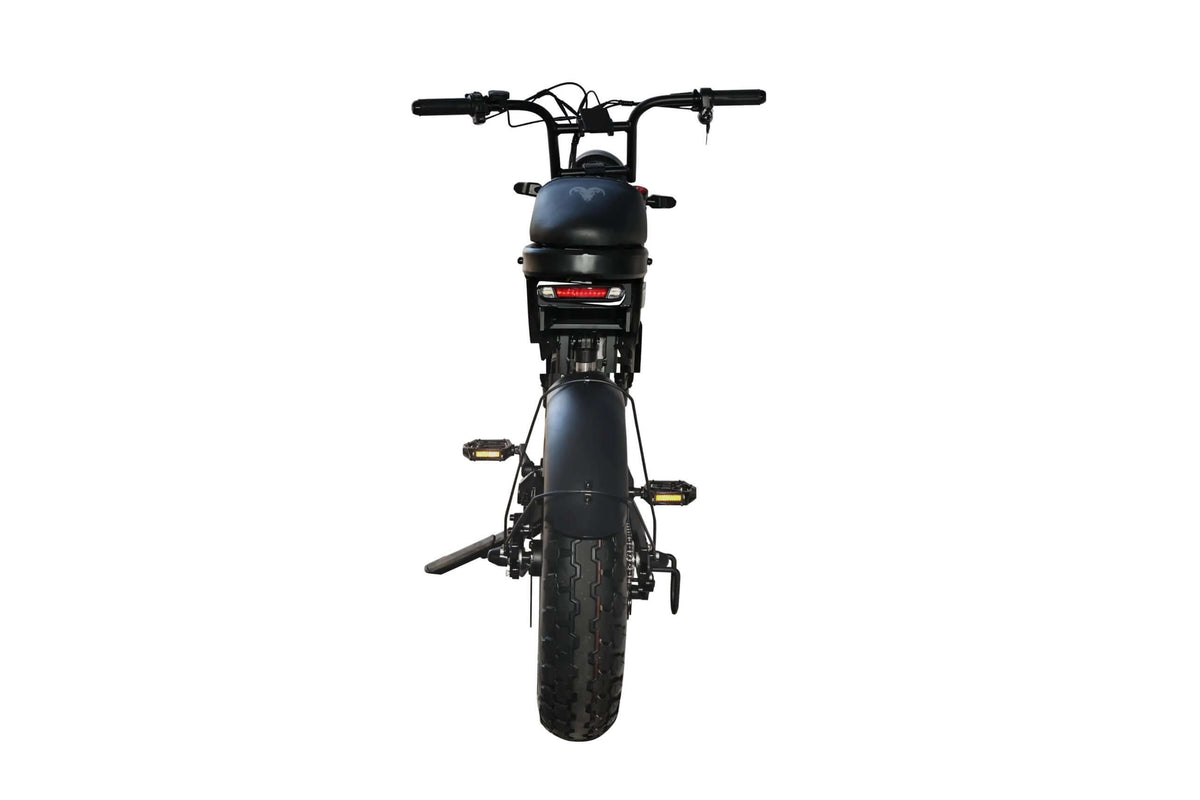 Mini Goat electric bike by Goat Power Bikes