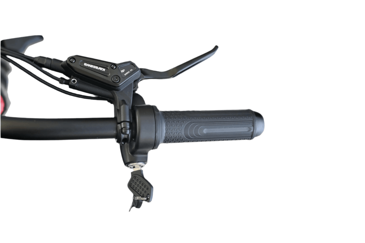 Mini Goat e bike by Goat Power Bikes