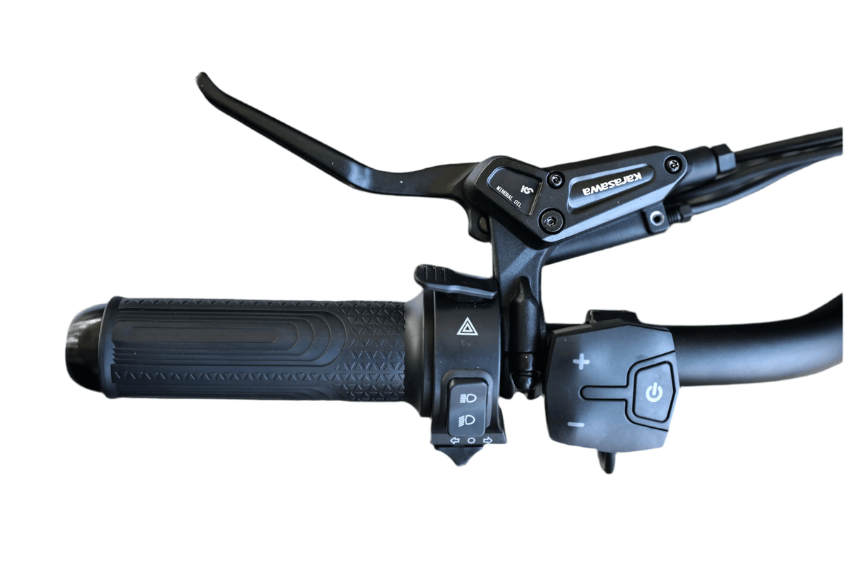 Mini Goat electric bike by Goat Power Bikes