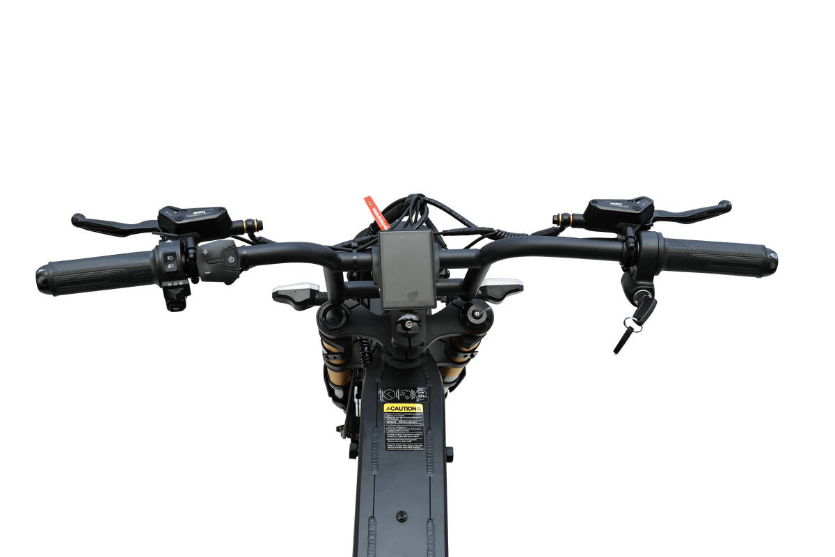 Goat Power Bikes King Goat e bike