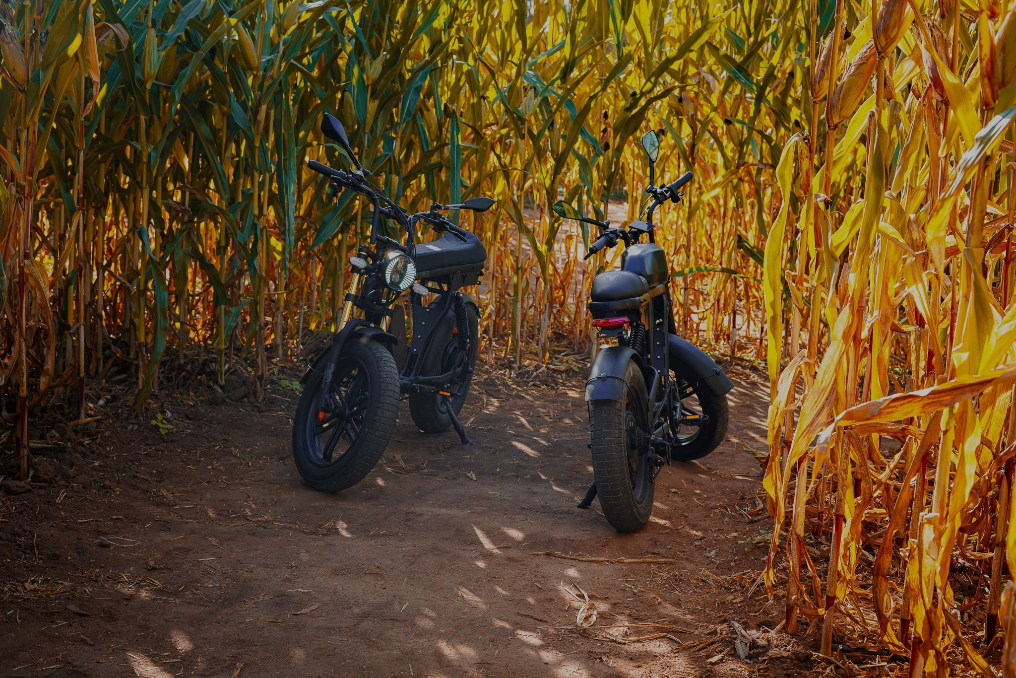 Used vs. New E-Bikes Which Should You Buy in 2025