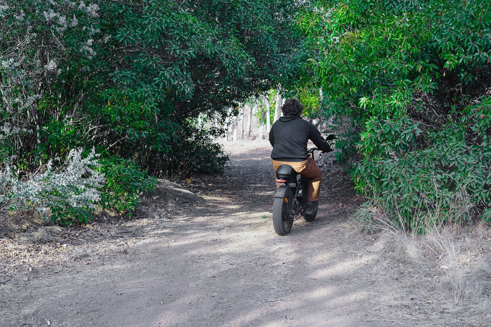 Where Can You Legally Ride an E-Bike on Public Lands & in National Forests?