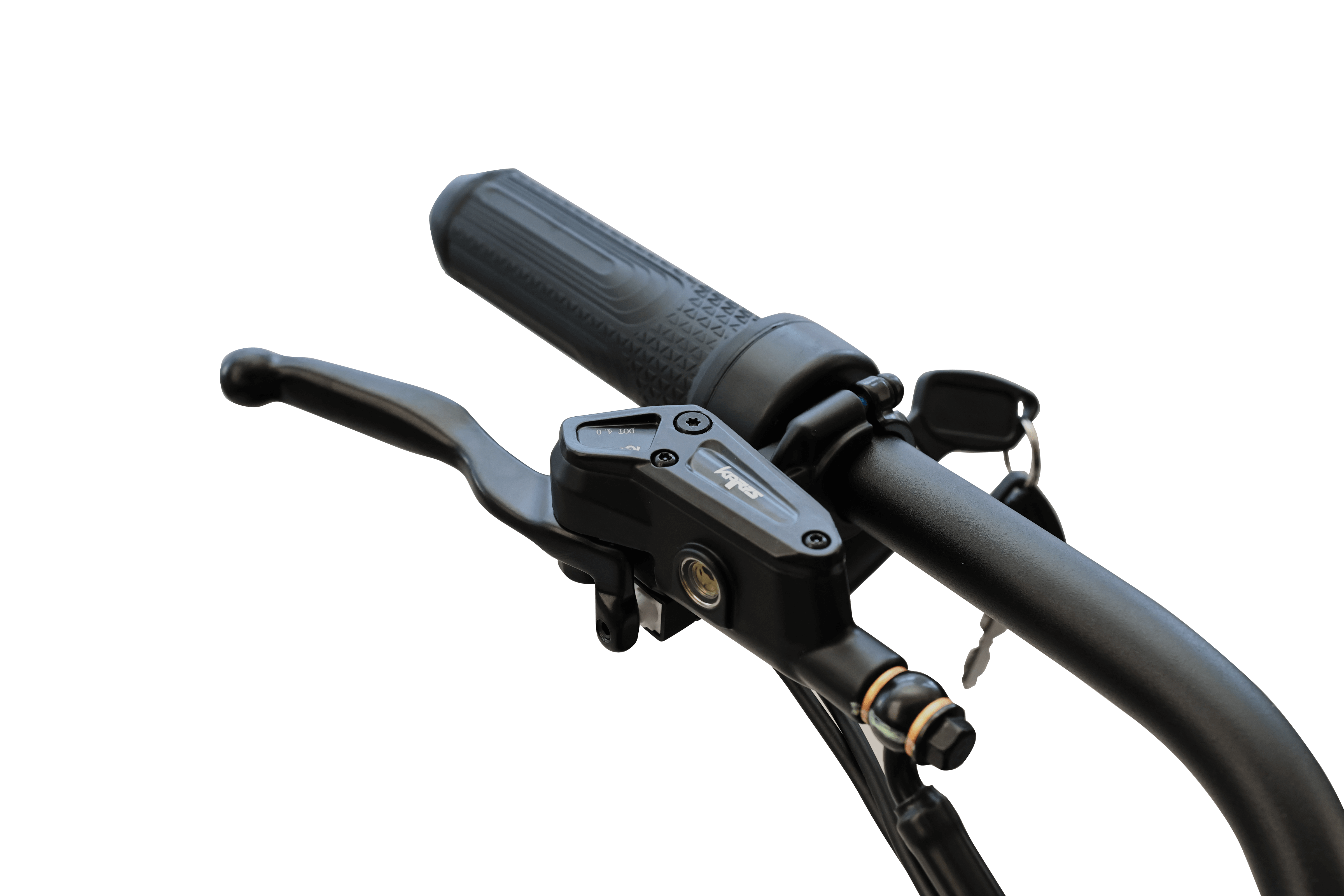 The King Goat Electric Bike