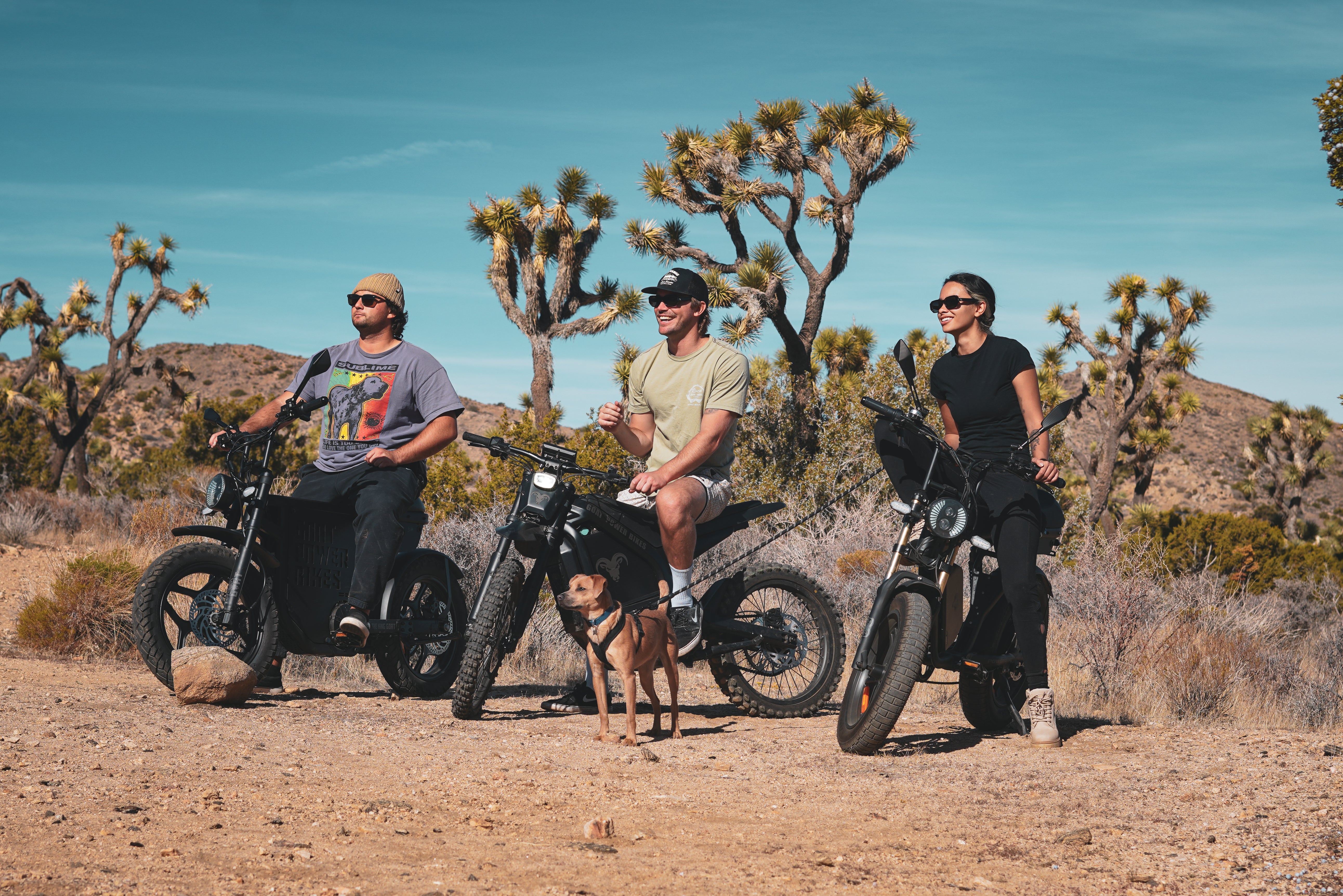 High power electric bike