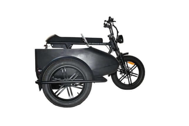 electric bike side cart