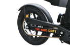 The King Goat Electric Bike