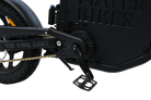 The King Goat Electric Bike